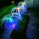 Світлодіодні сонячні садові світильники "Медуза", 2 шт Bass Polska BH 12784 2