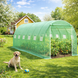 Садова теплиця Expand  TFO25-3X6X2-2-Z 18 м&sup2;, 6&times;3&times;2 м, двоє дверей, міцний каркас 25 мм &ndash; ідеальна для овочів та фруктів 4