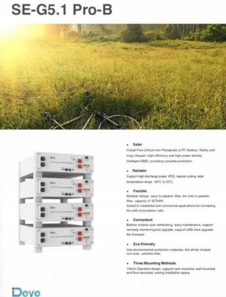 Аккумуляторная батарея Deye SE-G5.1Pro-B (LiFePO4 51,2V 100Ah) 5.12kWh