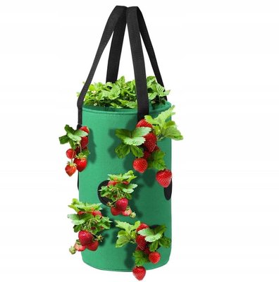 Мешок для выращивания овощей и ягод, плантатор Bass Polska BH 79901