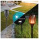Світлодіодний сонячний садовий світильник, факел Bass Polska BH 12780 4
