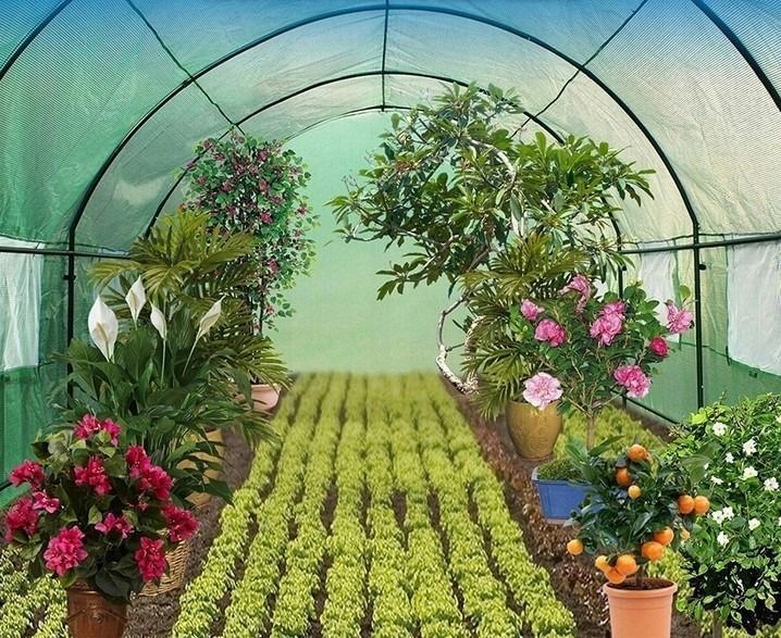 Садова теплиця 10м2 25мм труба 400*250*200см, 29,5кг, KO2504252